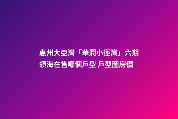 惠州大亞灣「華潤小徑灣」六期領海在售哪個戶型 戶型圖房價